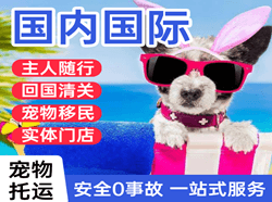 巴彦淖尔天吉泰国际宠物托运 【国